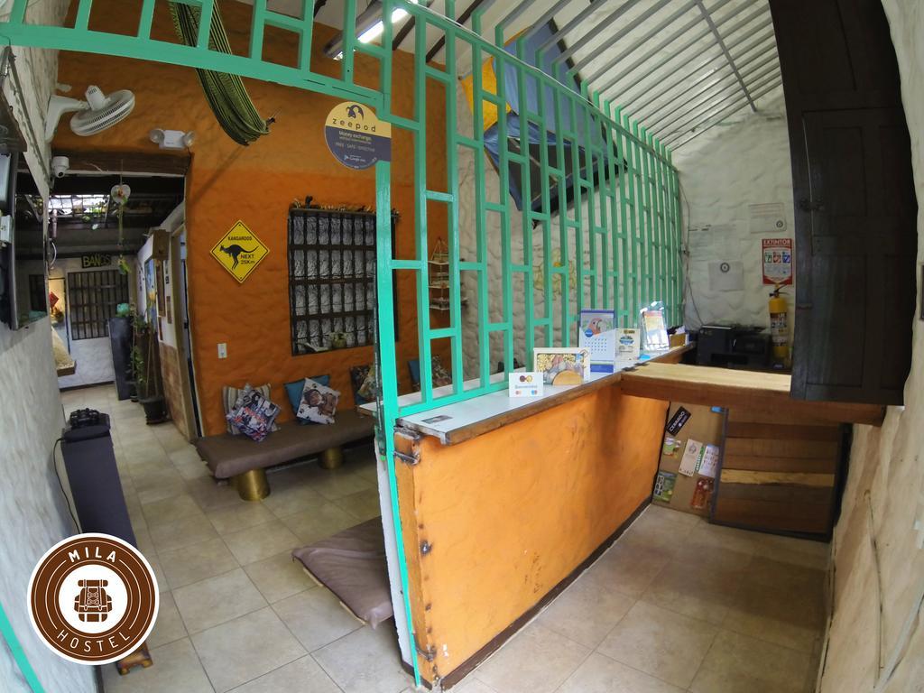 Mila Hostel Медельин Экстерьер фото